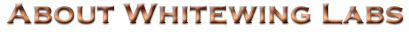ABOUT WHITEWING